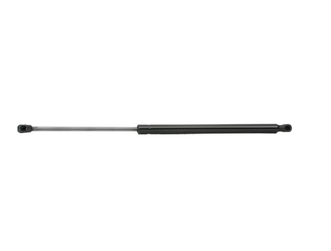FIESTA Heckklappendämpfer RIDEX 219G0786