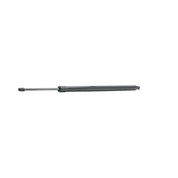 kaufen Heckklappendämpfer - STARK (SKGS-0220878)