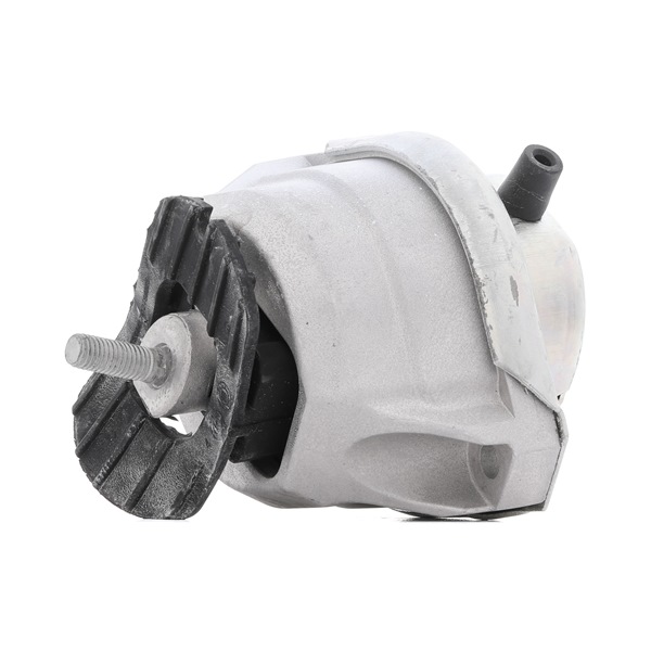 RIDEX Apoio do motor 247E0220