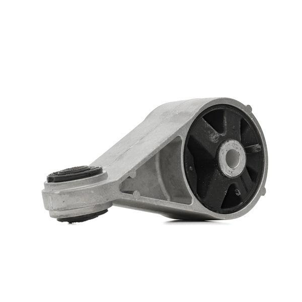 RIDEX Apoio do motor 247E0290