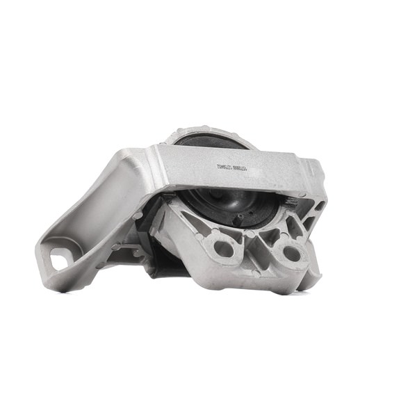OEM 8M516F012SB RIDEX  Motorlager 247E0312 für FORD, FORD USA