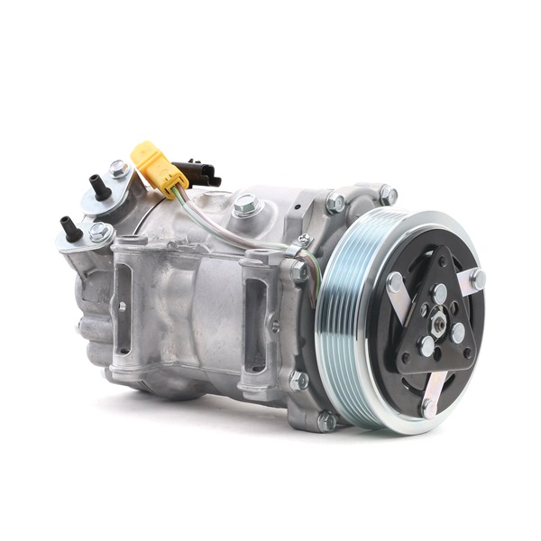 OEM 648754 RIDEX AC-kompressor 447K0267 for FORD, PEUGEOT, CITROЁN, DS