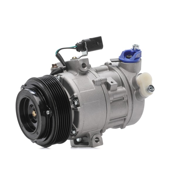 OEM 1S0820803C RIDEX AC-kompressor 447K0306 for VW, AUDI, FORD, SKODA, SEAT