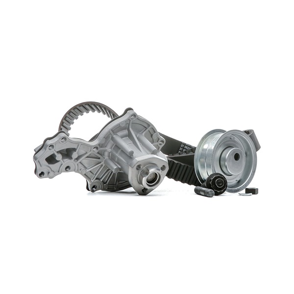 OEM 1036188 RIDEX Registerreimsett med vannpumpe 3096W0210 for AUDI, FORD