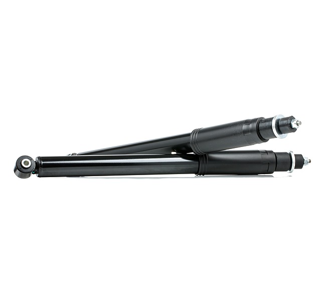 OEM 1703200330 RIDEX Iskunvaimennin 854S2094 varten MERCEDES-BENZ, RENAULT, CHRYSLER