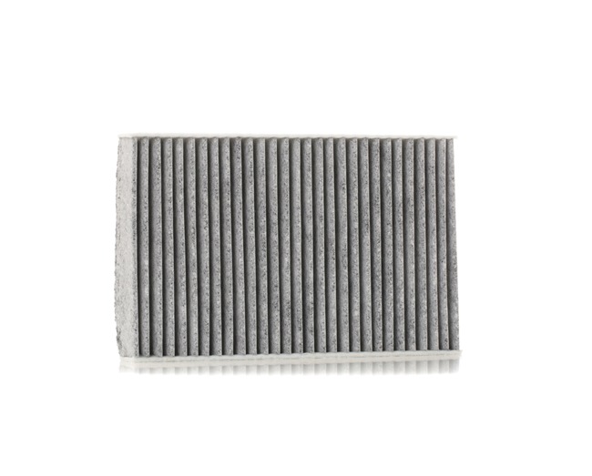 PULSAR Innenraumfilter RIDEX 424I0421
