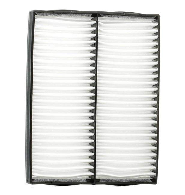 Pollenfilter STARK SKIF-0170421