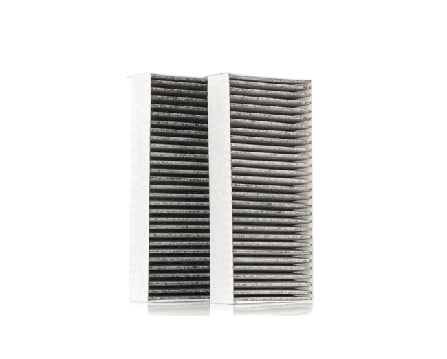 2-serie Kupefilter 424I0431 RIDEX