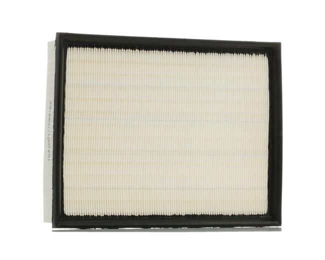 RIDEX 8A0650 CHEROKEE Luftfilter