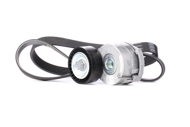DS5 Poly V-riem set VKMA 33205 SKF