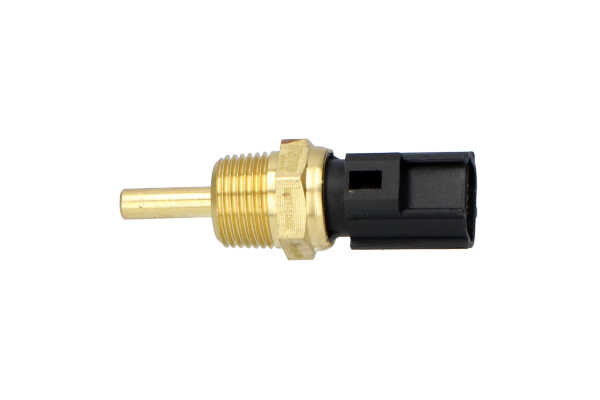 KAVO PARTS Sensore, Temperatura refrigerante (ECT-1502) per SMART FORTWO Cabrio (451) 1.0 (451.431, 451.480) (52 KW / 71 CV / dal 2007)