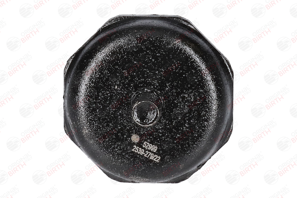 BIRTH Batente de encosto, suspensão (52999) para SUZUKI Jimny IV SUV (A6G) 1.5 AllGrip (JB74W) (75 KW / 102 CV / de 2018)