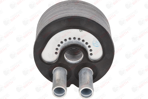 OEM 1520800Q0B BIRTH Enfriador de aceite 80312 para RENAULT, OPEL, NISSAN, VAUXHALL