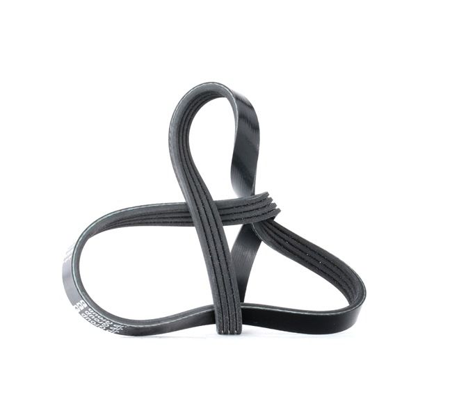 JP GROUP Correia trapezoidal estriada (1318104200) para HONDA CIVIC VI Hatchback (EJ, EK) 1.6 (MB4) (92 KW / 125 CV / de 1998)