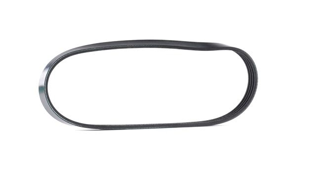 OEM 46429443 JP GROUP  Keilrippenriemen 3318100900 für FIAT, HYUNDAI, ALFA ROMEO, LANCIA