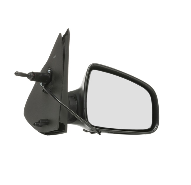 OEM 8200497485 PRASCO  Außenspiegel RN4067113 für RENAULT, DACIA