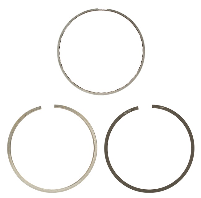 comprare Kit fasce elastiche - KOLBENSCHMIDT (800113210025)
