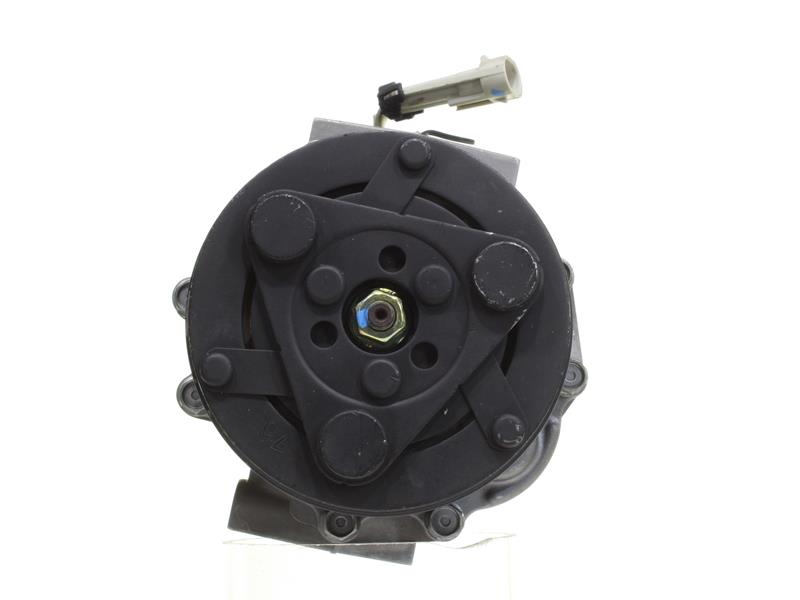 OEM SD6V12 ALANKO Compressor, ar condicionado 10550087 para BMW