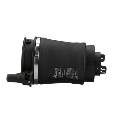 OEM 6L1Z3C199AA Arnott Ilmajousi A-2143 varten FORD, FORD USA, LINCOLN