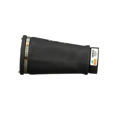 OEM RKB101200 Arnott Ilmajousi A-2202 varten LAND ROVER, ROVER