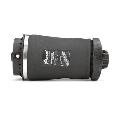 OEM A2513200025 Arnott Ilmajousi A-2597 varten MERCEDES-BENZ