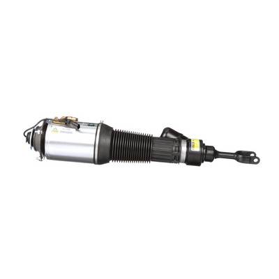 OEM 3W0616039D Arnott Air suspension strut AS-2581 for VW, LAND ROVER, BENTLEY