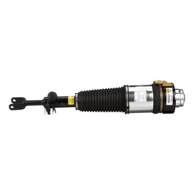 OEM 4F0616040Q Arnott Luftdempere AS-2816 for VW, AUDI, PORSCHE