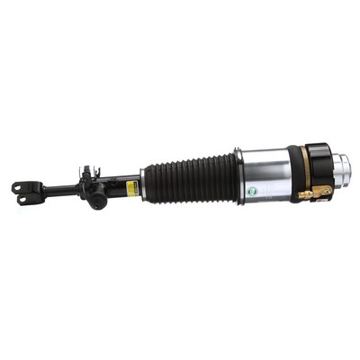 OEM 4F0616039P Arnott Luftdempere AS-2817 for VW, AUDI, SKODA, PORSCHE, SEAT
