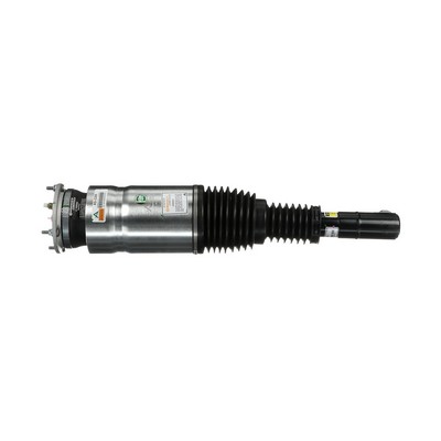 OEM LR060401 Arnott Ilmajousijalka AS-3205 varten LAND ROVER, ROVER