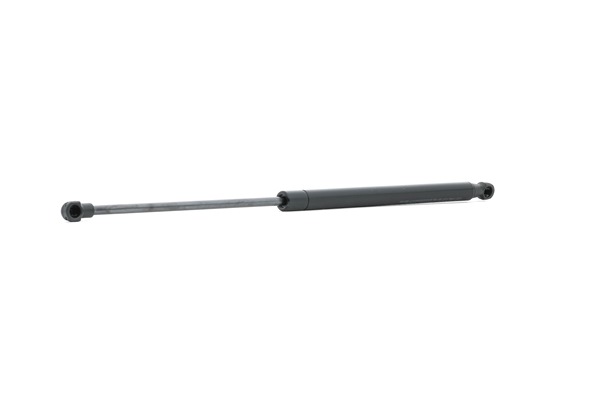 ABAKUS 101-00-571 SANDERO Heckklappendämpfer
