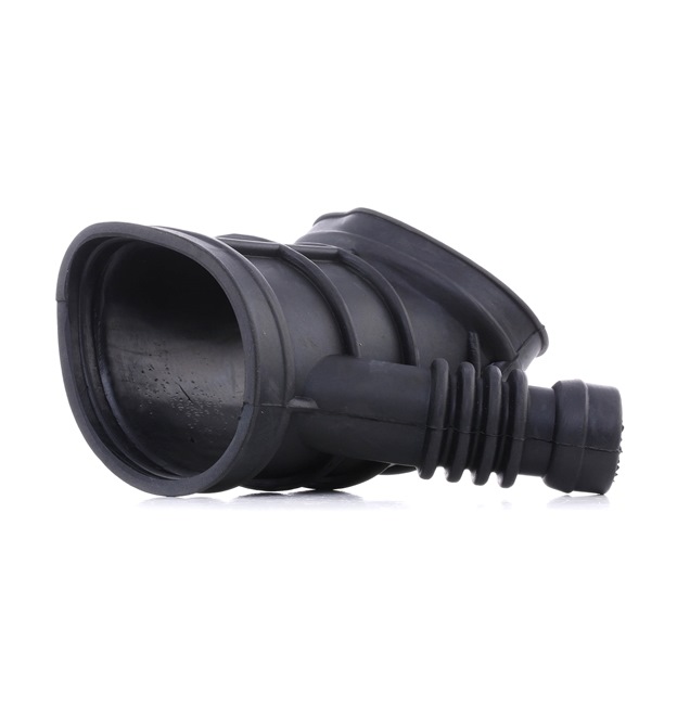 OEM 13541437191 RIDEX Intake pipe, air filter 1591I0002 for BMW