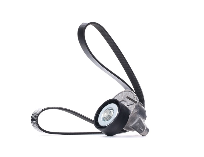DAYCO Ribrem KPV288