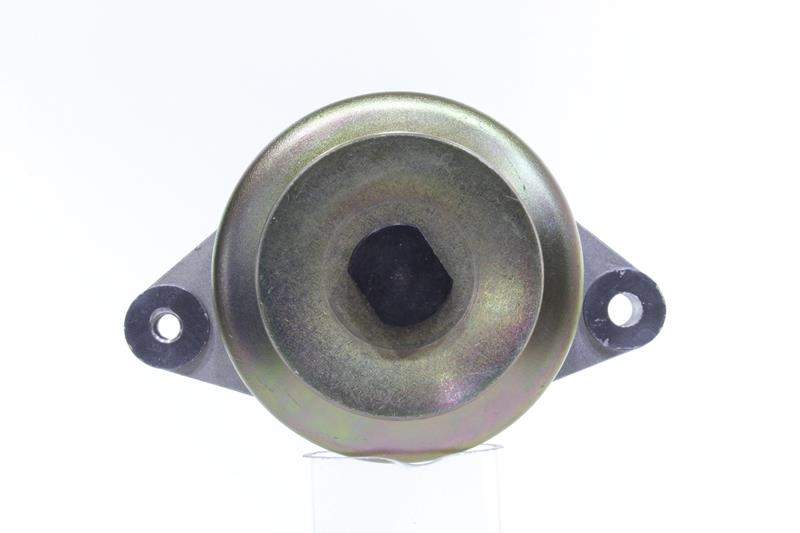 OEM 1553164013 ALANKO Laturi 10443884 varten