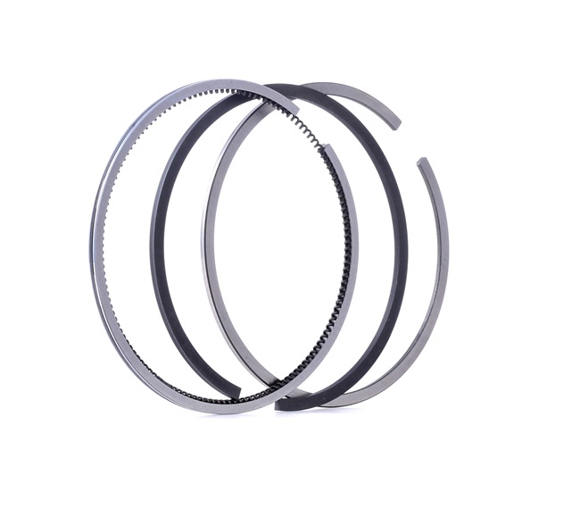 STARK Kit fasce elastiche (SKPRK-1020005) per RENAULT MASTER II Furgonato (FD) 1.9 dCi 80 (60 KW / 82 CV / dal 2001)