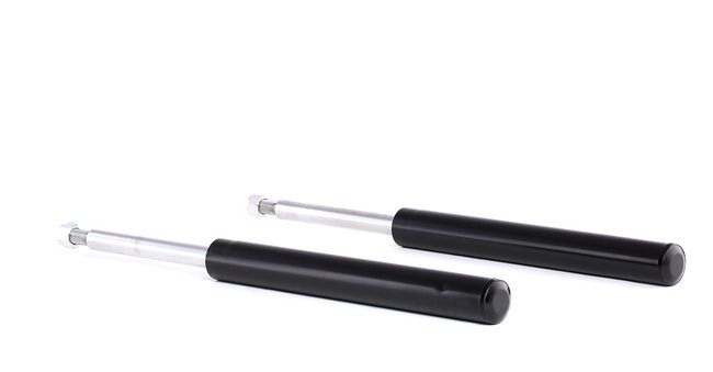 RIDEX 854S1754 CALIBRA A Stoßdämpfer