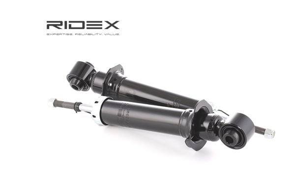 OEM 4853009670 RIDEX Iskunvaimennin 854S1794 varten TOYOTA, LEXUS, WIESMANN