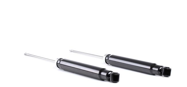 RIDEX Shock absorber 854S1850