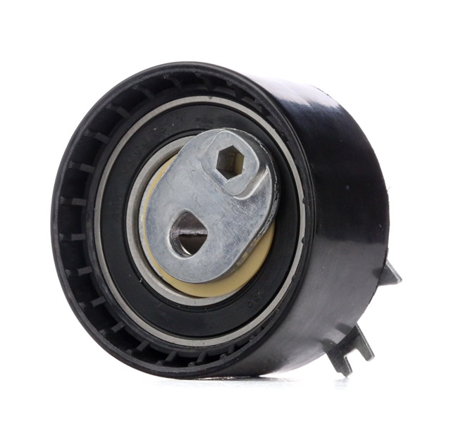 OEM 8200623883 RIDEX Strammehjul, registerreim 308T0114 for NISSAN, RENAULT, DACIA, RENAULT TRUCKS