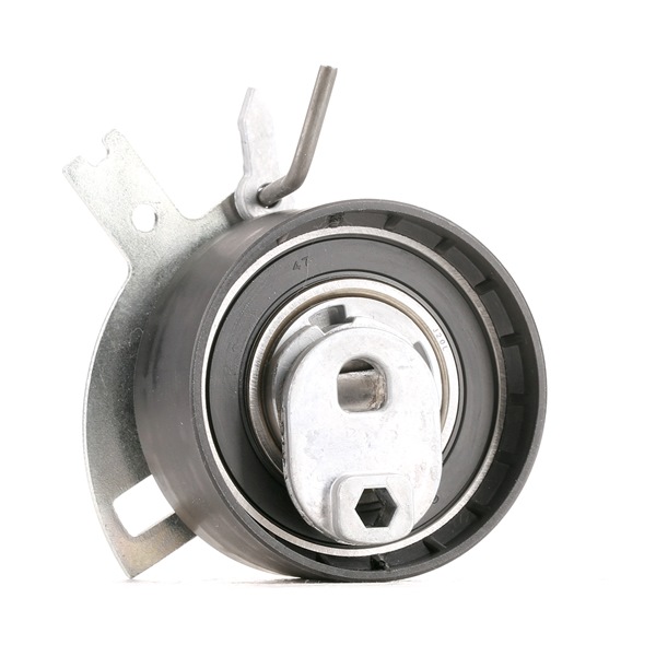 OEM 0829E8 RIDEX Strammehjul, registerreim 308T0123 for VW, PEUGEOT, CITROЁN, DS