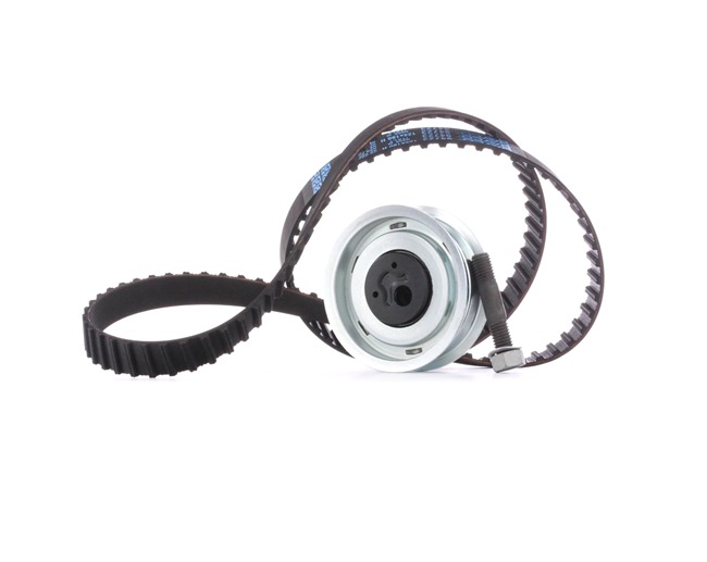 OEM 037109119C RIDEX Registerreimsett 307T0020 for VW, AUDI, FORD, SKODA, SEAT