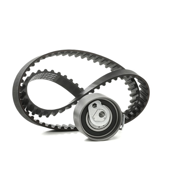 RIDEX Kit de distribution (307T0045) pour RENAULT Modus / Grand Modus (F, JP) 1.2 16V Hi-Flex (55 KW / 75 CH / de 2008)