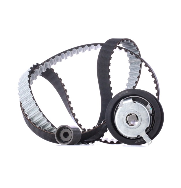 OEM 028198119F RIDEX Hammashihnasarja 307T0115 varten VW, AUDI, SKODA, SEAT