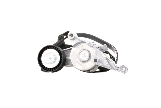 RIDEX Juego de correas trapeciales poli V (542R0007) para VW Passat B6 Sedán (3C2) 2.0 TDI (103 KW / 140 CV / de 2005)