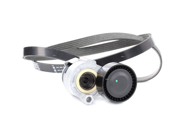 Poly V-riem set (542R0011) van RIDEX Voor RENAULT CLIO II (BB0/1/2_, CB0/1/2_) 1.5 dCi (42 KW / 57 PK / Van 2001)