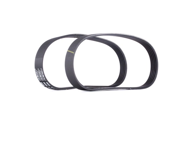 OEM 2S6E6D314AD RIDEX Kileremsett 542R0018 for FORD, FORD USA