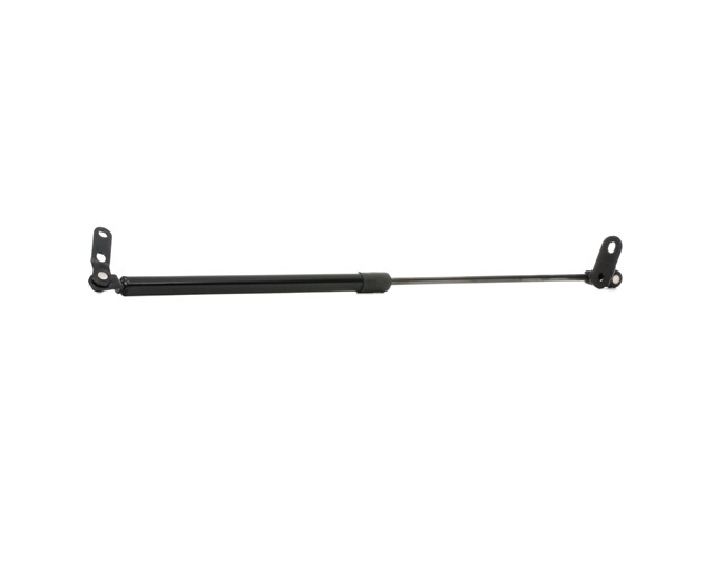 MICRA Gasveer achterklep 219G0412 RIDEX