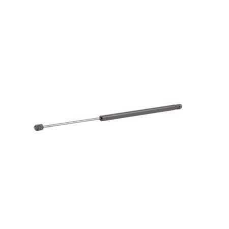 Ammortizatore pneumatico, Cofano bagagli / vano carico 219G0460 RIDEX