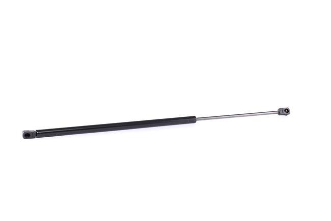 INSIGNIA Gasveer achterklep 219G0469 RIDEX