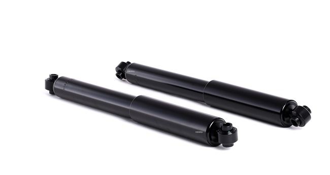 VARIO Stötdämpare 854S0055 RIDEX