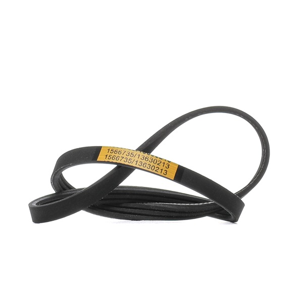 RIDEX Correia do alternador 305P0113